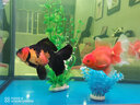 森森（SUNSUN）大型鱼缸水族箱免换水客厅风水家用下滤底过滤鱼缸 1.2米长屏风款36cm宽 高缸竖门 带豪华套餐 实拍图