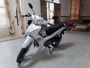 雅马哈凌骏115弯梁摩托车国四电喷JYM110-3创核禧发110C8爱发U8全新整车 玉石白 线上建议零售价7580 实拍图