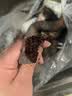 连环马东北血肠正宗东北特产猪雪肠农家自制笨猪血杀猪菜现灌 顺丰【空运】1000g血肠 实拍图
