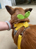 嬉皮狗摇摇乐狗狗牵引绳背心式小型犬宠物胸背狗链 L码 建议8-16斤 实拍图