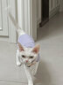 猫容德文卷毛猫衣服无毛宠物背心空调服高弹薄款猫猫咪春夏天睡衣服 活力橙 XS(1-2斤) 实拍图