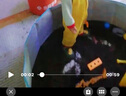 麦乐宝决明子玩具沙子大颗粒枕芯10斤沙漏车沙滩玩具套装围栏挖沙子工具 5斤决明子 安全材质 实拍图