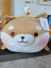名创优品（MINISO）白熊柴犬小猪BBO弹力毛绒公仔玩偶娃娃抱枕新年生日礼物送女生 趣味阿柴(36*21cm) 款式随机 实拍图