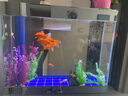 江彩鱼缸客厅大型水族箱落地隔断墙家用办公室底过滤超白玻璃鱼缸定制 1.2米加高（120x40x165cm） 实拍图