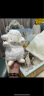 海湾兔bunnies by the bay小羊公仔披风衣服毛绒玩具娃娃礼物玩偶送女友 824208老虎披风套装（含羊） 晒单实拍图