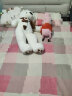 欣欣龙毛绒玩具大熊泰迪熊公仔布娃娃玩偶抱枕送女友情人节礼物 围巾熊白色 1.2米【+玫瑰花】 实拍图