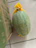 雅聪新疆吐鲁番哈密瓜西州密瓜网纹甜瓜应季生鲜水果 5-6个【18-20斤】 实拍图