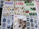 美好生活图鉴系列3·园艺图鉴：自己打造蔬果满枝花满目的庭院 实拍图