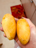 卉双新鲜小台芒新鲜水果10斤当季现摘小台农水果生鲜芒果整箱产地直发 小台芒 带箱9-10斤小果 实拍图