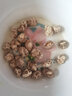 聖武山珍湖北房县特产小花菇香菇干货菌菇蘑菇干货神农架冬菇煲汤食材250g 实拍图
