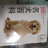 【两册套装】DK名犬百科+DK猫咪百科 宠物类知识科普书 家居宠物驯养训练教程书 猫狗宠物图鉴 晒单实拍图