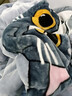 南极人（NanJiren）毛毯被子加厚盖毯双层单人宿舍毛毯被秋冬绒毯子双人加大拉舍尔毯 J玲珑猫 180X220cm约6斤 实拍图