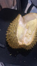榴小橔泰国进口金枕头榴莲鲜果 巴掌榴莲水果热带金枕榴莲 6-7斤大金枕榴莲（1-2个） 实拍图