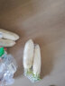四川农特产 白萝卜 1.25kg 简装 新鲜蔬菜 实拍图