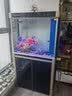 森森（SUNSUN）鱼缸水族箱含鱼缸客厅大型玻璃缸办公室龙鱼生态缸自循环水族箱 时尚款底滤0.8m长 36宽 靠墙(黑白灰) 实拍图