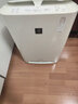 思博润 适用夏普(shrap)空气净化器过滤网 滤芯 FZ-380HFS过滤网 KC-W280SW1/KC-Z280SW/BB30 实拍图