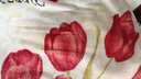 夏季法兰绒毯子夏天盖毯午睡毛巾小被子垫床单人薄款空调珊瑚毛毯 郁金香-牛奶绒 70x100cm 【午睡毯-童毯】 实拍图