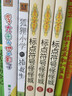 国内大奖书系：标点符号怪怪城套装3册（注音全彩美绘） 实拍图