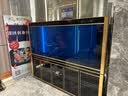 欧宝 金龙鱼缸 玻璃生态水族箱 屏风 大型鱼缸客厅办公室别墅定制鱼缸 200x50x90/70底过滤 实拍图