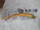 仙草至尊 梅花鹿鲜鹿茸片50克 整根新鲜头茬二杠鹿茸带血煲汤源头直发包邮 实拍图