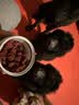 西部牛仔牛肉粒宠物狗狗磨牙成幼犬训练奖励零食 牛肉粒220g/罐 实拍图