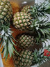 果恋汇（GUOLIANHUI）海南金钻凤梨新鲜当季热带水果手撕无眼香水菠萝树上熟整箱超甜 9斤装大果(4-5个) 实拍图