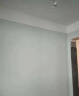 梵竹内墙乳胶漆硅藻墙面漆墙面翻新修补家用水性环保自刷白色彩色油漆 白色 1L（约刷10平方/遍） 实拍图