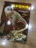 色彩与光线：写实主义绘画指南（珍藏版） 詹姆斯·格尔尼 贵哥翻译推荐（绘客出品）与艺术的故事媲美 看懂西方名画 人民邮电出版社 实拍图