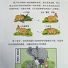 漫画动物妙想国 套装全4册（动物百科科普漫画哺乳动物水族世界飞鸟家族恐龙王国) 实拍图