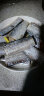 纯色本味 冷冻舟山精品带鱼段 纯中段无内脏 地标产品  700g/袋  实拍图