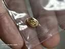 六福珠宝足金运财进宝黄金添富金1g3g5g元宝葫芦小金豆子单件计价013416JA 3.00克(含工费0元) 金元宝 实拍图