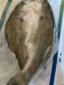仙泉湖三去白蕉海鲈鱼500g*1条净膛冷冻刺少肉厚地标海鲜水产 实拍图