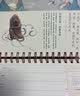 欧唛（oumai）台历2027年羊年周历牛皮纸月历周历商务桌面摆件台历可记事日历本 周历羊羊得意【京东8仓】 实拍图