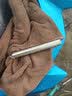 融誉笔式手电筒LED迷你强光手电 家用黄光白光照明检查便携式小笔灯 黄光手电 （7号电池款） 实拍图