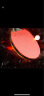 双鱼 五星黑碳王(京仓速发/专业碳素)乒乓球拍  横拍单拍 实拍图