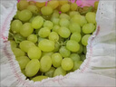 京鲜生 新疆无籽露 无核白葡萄 净重3.5斤原筐 生鲜水果 酸甜易掉粒  实拍图