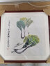紫腾随轩齐白石装饰画新中式客厅背景墙面挂画卧室饭厅餐厅水墨虾壁画 白菜 60*60cm红木色实木框 实拍图