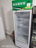 幼儿园食品留样柜食堂饭菜留样冰箱水果冷藏展示柜家用蔬菜保鲜柜 【320L留样柜】带温度显示双锁 实拍图