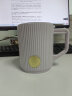 COSTA陶瓷马克杯带盖带茶虑大容量杯子茶水分离水杯精致女王紫-355ml 晒单实拍图
