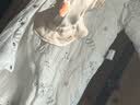 童泰婴儿连体衣夹棉冬季新生宝宝棉衣服保暖加厚哈衣爬服外出抱衣 灰色狐狸（偏开款) 80cm 实拍图