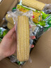 抱抱你 【大棒300g】头茬黄白玉米粘黏甜糯黑玉米棒营养代餐苞米玉米 黄糯玉米14根*300g【头茬大棒】 实拍图