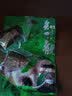 知味观杭州特产小吃芡实糕糕点点心绿豆糕麻花多口味零食小吃 桂花味绿豆糕50g 实拍图