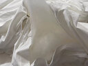 桐乡100%桑蚕丝被芯纯手工天然蚕丝被优质长丝四季被秋冬被子母被 子母被丝重2+4(总重约4+6斤） 200x230cm【白色全棉】 实拍图
