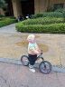 飞鸽（PIGEON）儿童平衡车滑步车宝宝车小孩滑行车两轮无脚踏车童车辐条轮银色 实拍图
