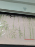蓝瑞 窗户贴膜磨砂玻璃贴纸透光不透明卫生间防走光浴室防窥遮光窗贴 Z236-竹韵悠然 宽60cmx高1米 实拍图