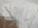 真维斯（Jeanswest）短袖t恤男夏季冰丝透气速干Polo领上衣大码青年港风复古宽松衣服 白色(纯色) 2XL (建议155-175斤左右) 实拍图