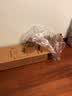 奥睿科（ORICO）电脑显示器增高架子木纹置物显示屏增高支架桌面办公键盘收纳架笔记本托架底座 【日常办公】木质款-热销黑 实拍图