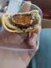 泓一雪媚娘蛋黄酥年货春节日送礼品团购面包早餐休闲零食品 【品质12枚】雪媚娘蛋黄酥240g*2 实拍图
