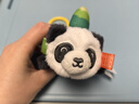 JOLLYBABY转转玩偶 萌宠拉绳会翻转可啃咬安抚公仔0-1岁婴儿宝宝玩具 转转玩偶【熊猫款】 实拍图