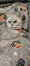 憨憨乐园猫项圈猫铃铛狗狗宠物卡通铃铛项圈挂绳泰迪宠物猫饰品 不同凡响 实拍图